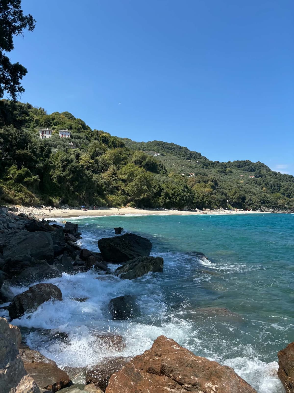 Angonari — Πρόσθετες φωτογραφίες · 63/72